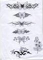 Farfalle 05